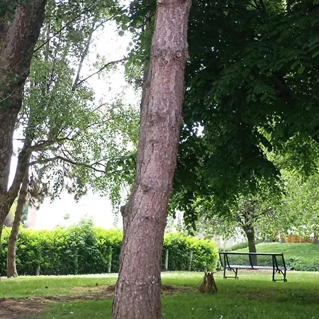 Marcel D Confort Daire Saint-Vigor-le-Grand